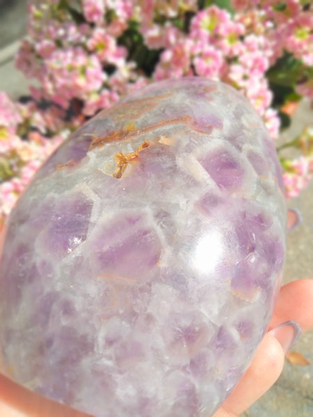 Amethyst Freeform with caves and Smokey Quartz druzy