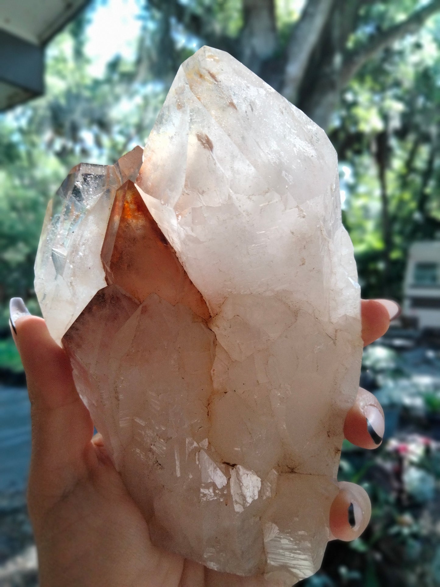 Multi Tower from our Personal Collection