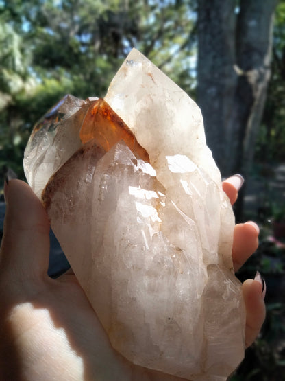 Multi Tower from our Personal Collection