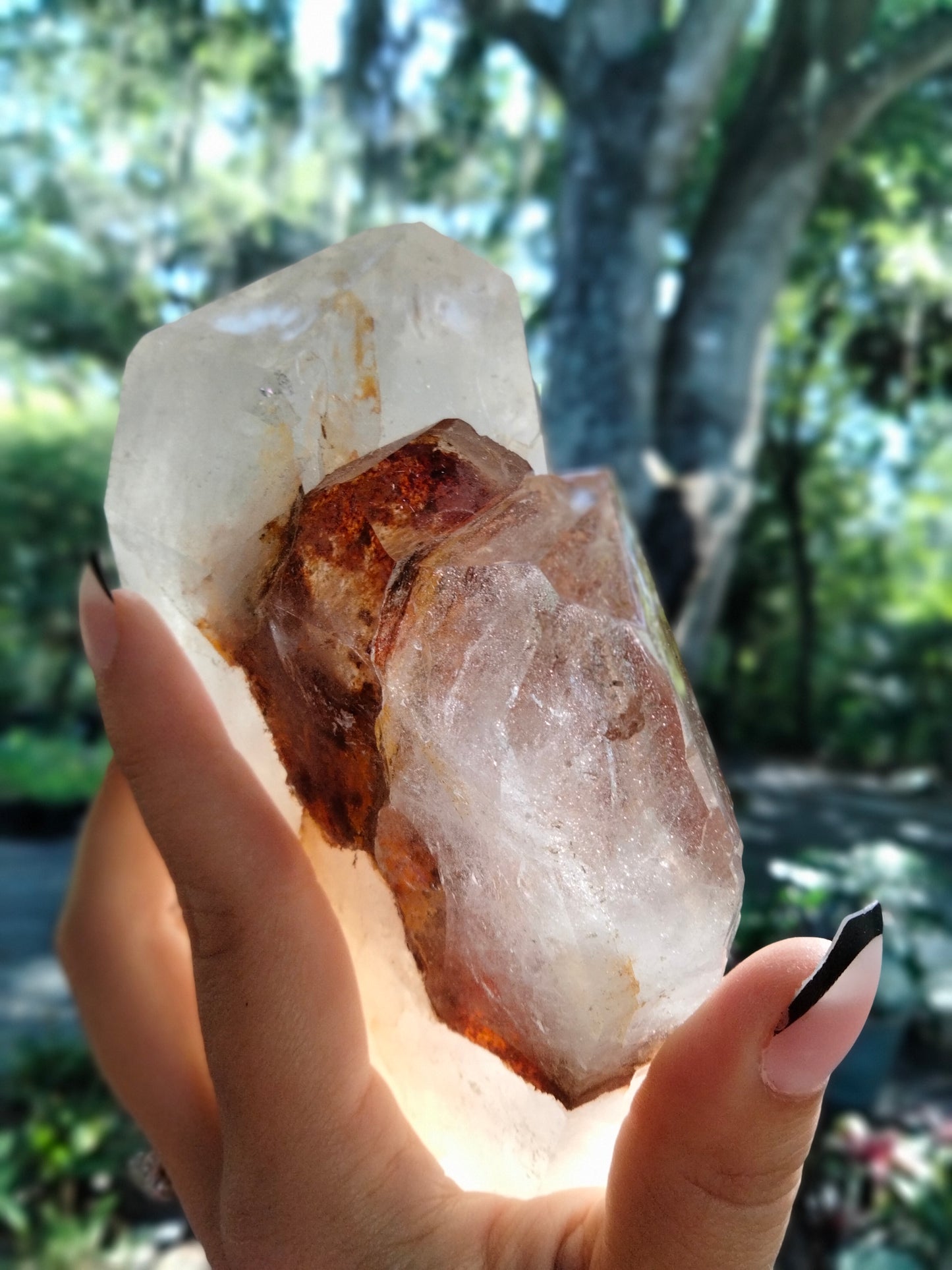 Multi Tower from our Personal Collection