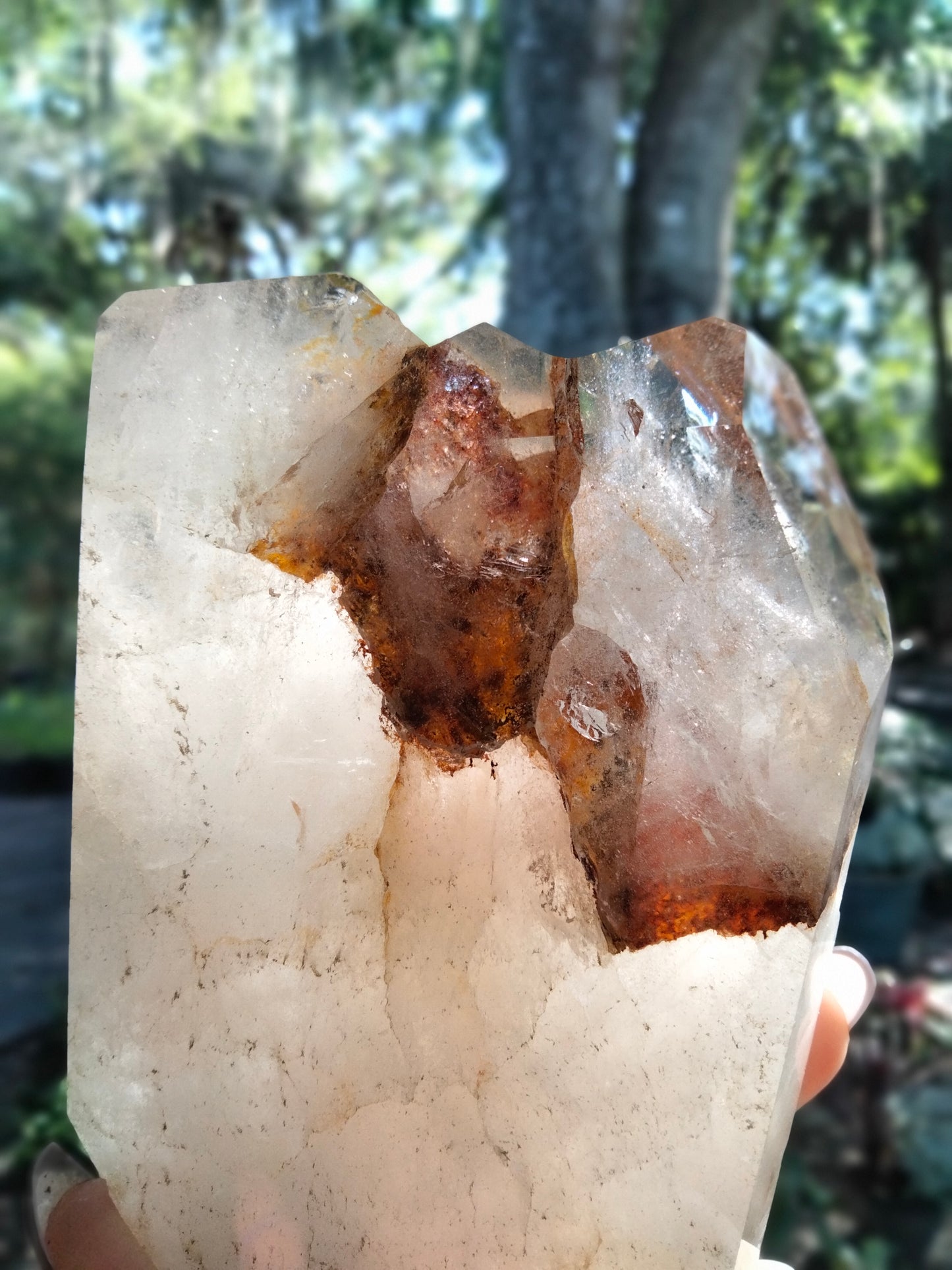 Multi Tower from our Personal Collection