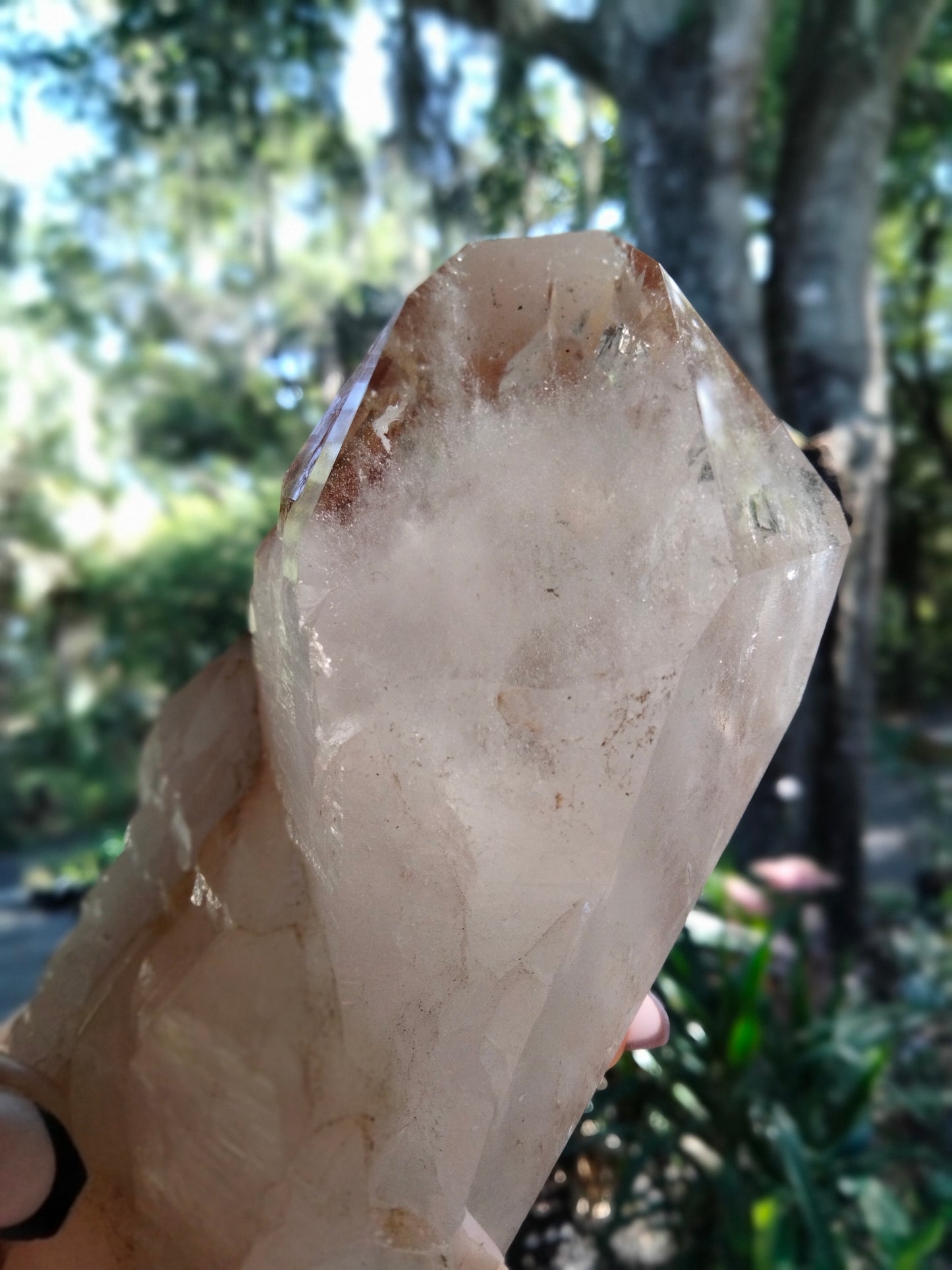 Multi Tower from our Personal Collection