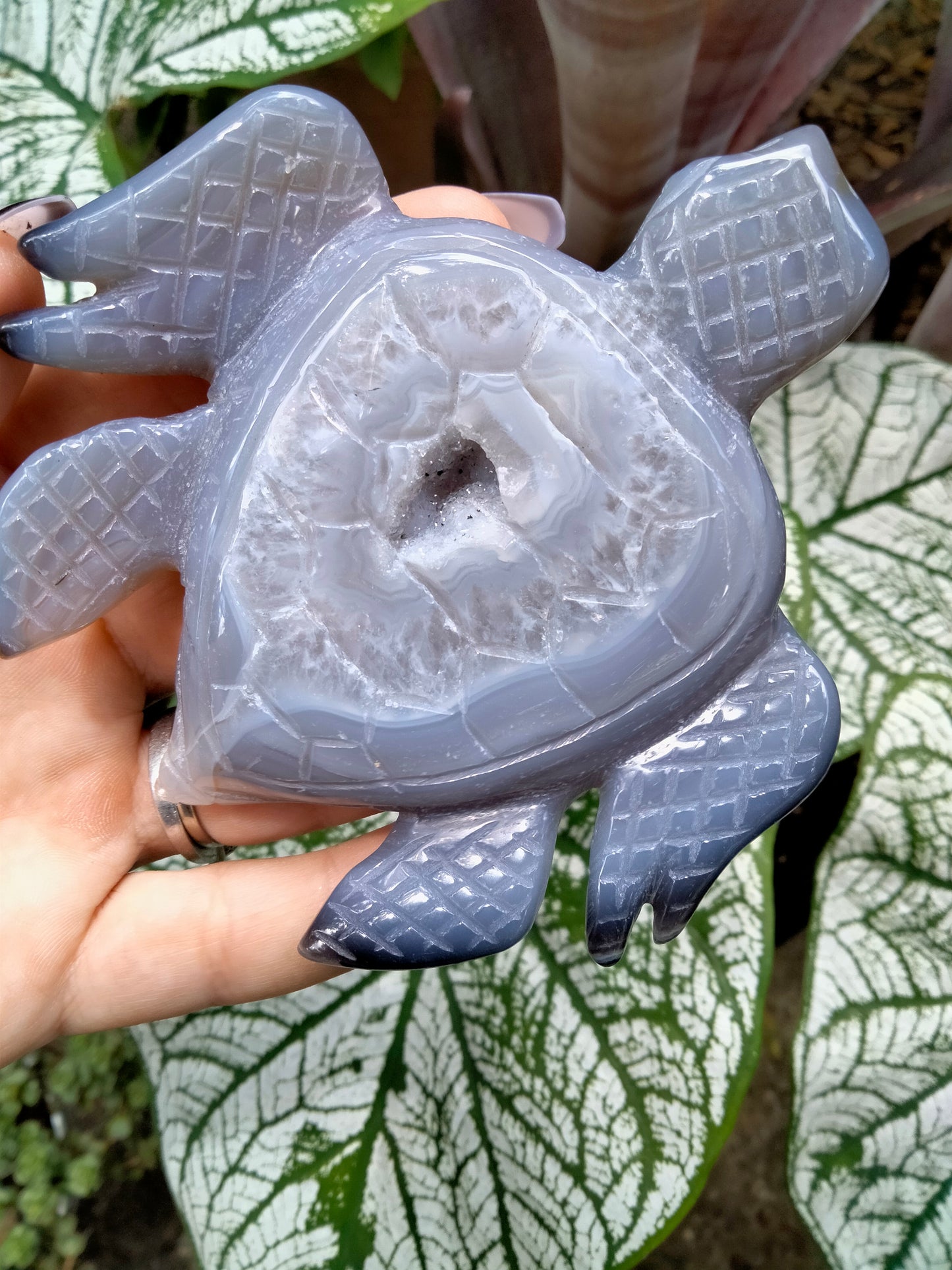 Agate with Quartz Druzy Sea Turtle carving