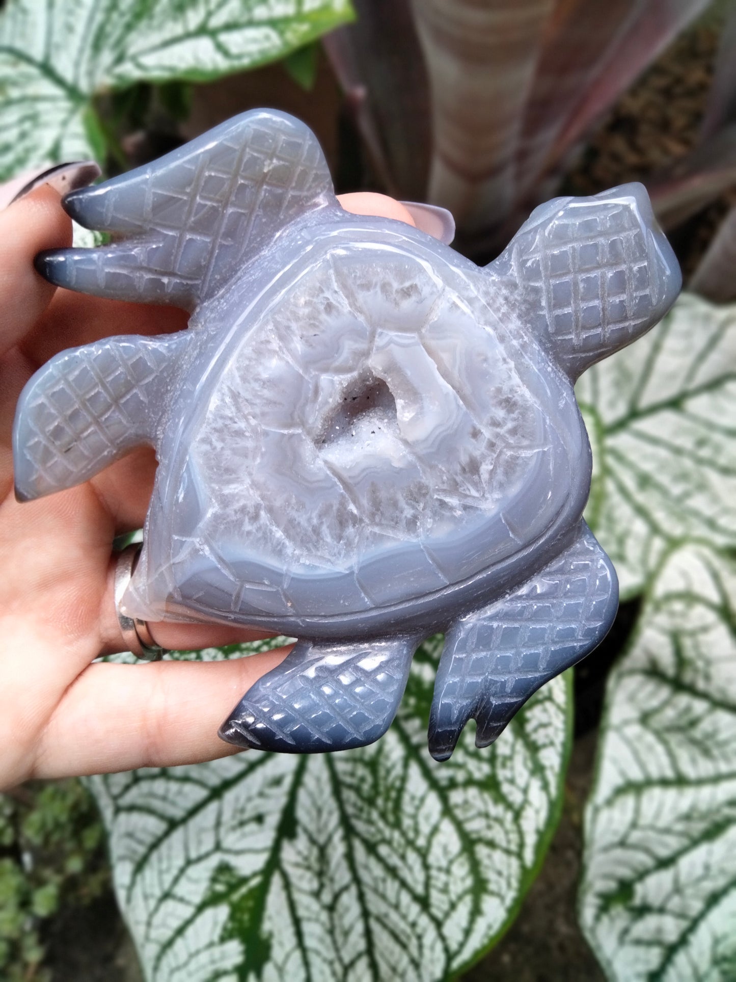 Agate with Quartz Druzy Sea Turtle carving