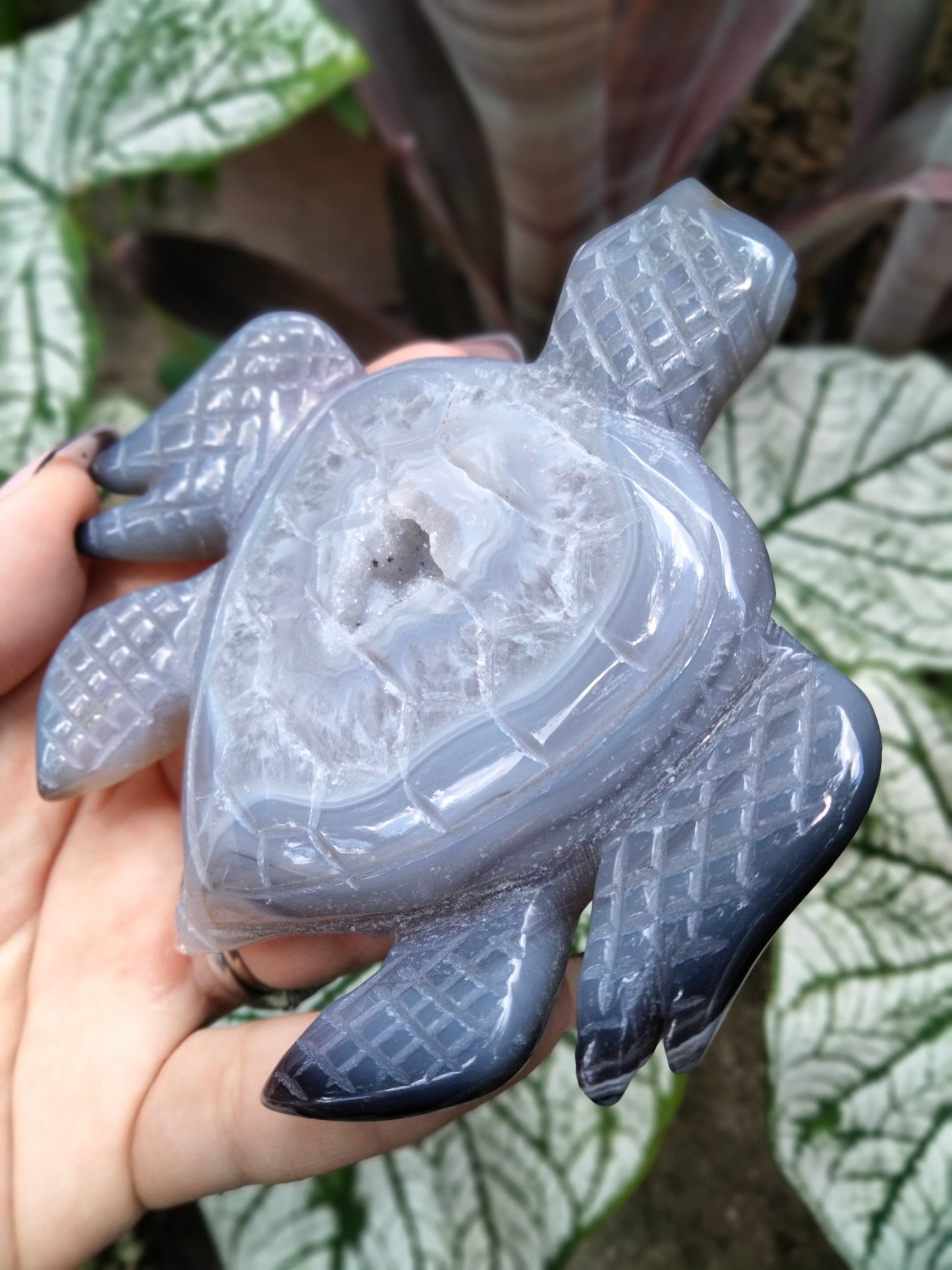 Agate with Quartz Druzy Sea Turtle carving