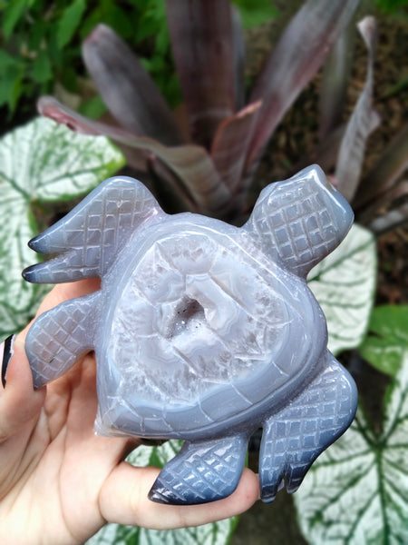 Agate with Quartz Druzy Sea Turtle carving