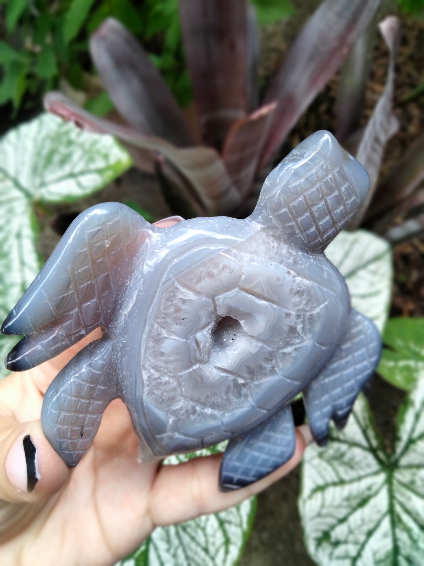 Agate with Quartz Druzy Sea Turtle carving