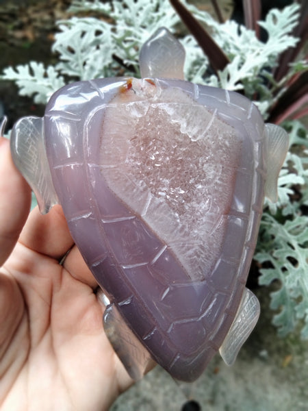 Purple Rare Agate Sea Turtle Large carving