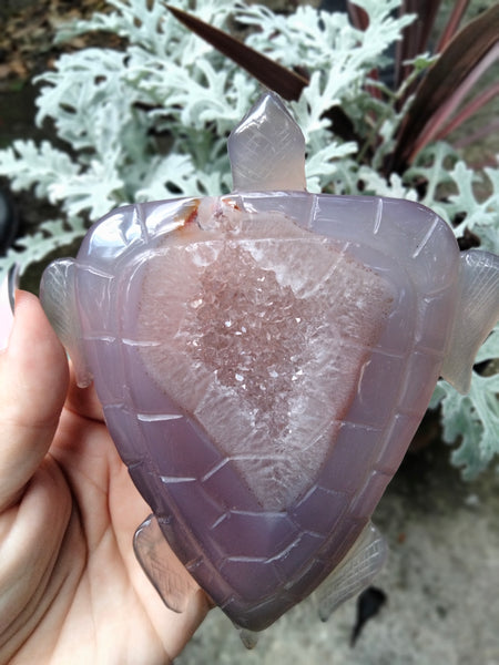 Purple Rare Agate Sea Turtle Large carving