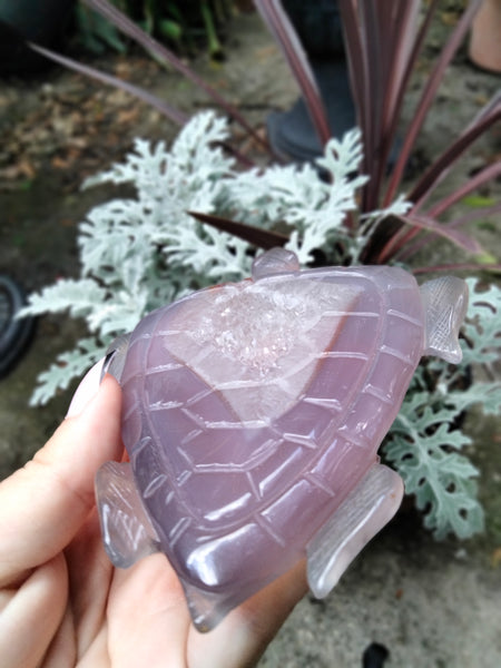 Purple Rare Agate Sea Turtle Large carving