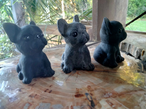 French Bulldog Black Obsidian Crystal Carving