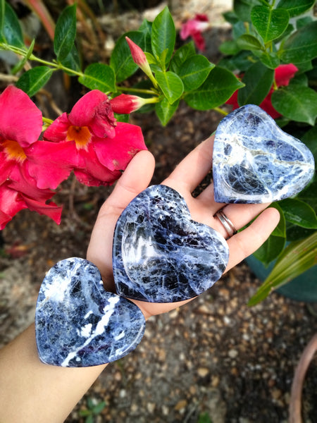 Sodalite Heart Bowl