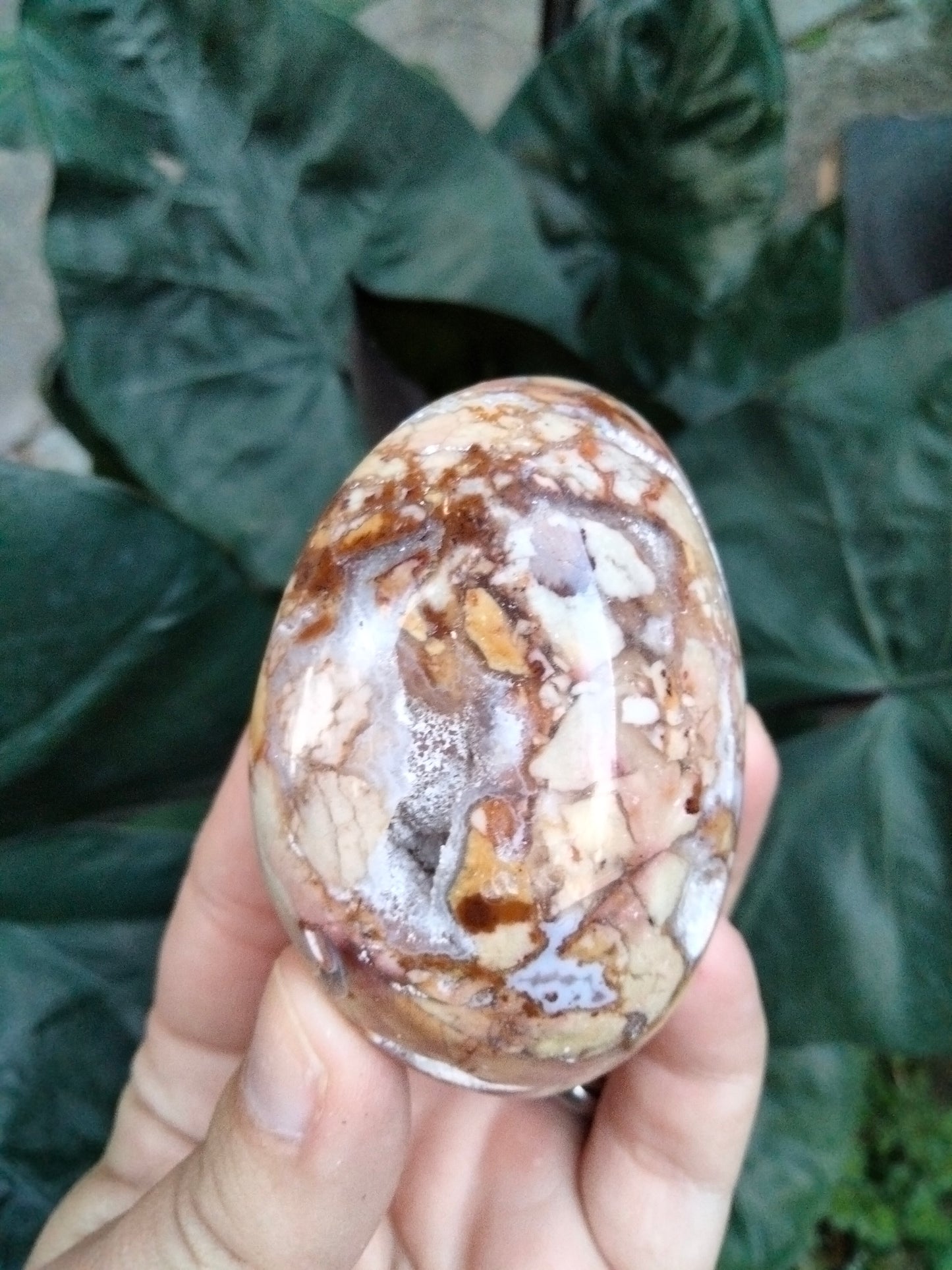 Ibis Jasper PalmStone with cave Druzy