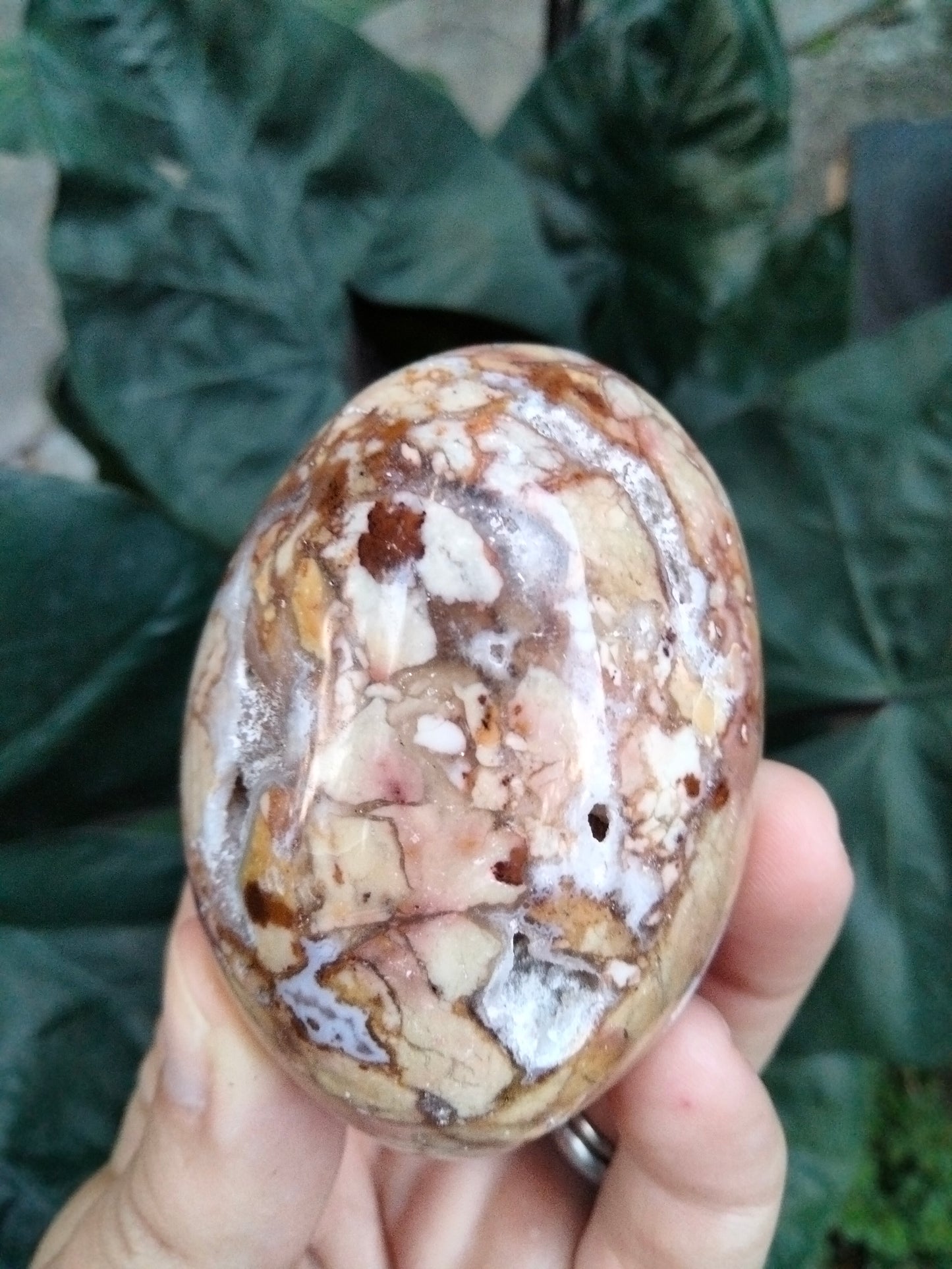 Ibis Jasper PalmStone with cave Druzy