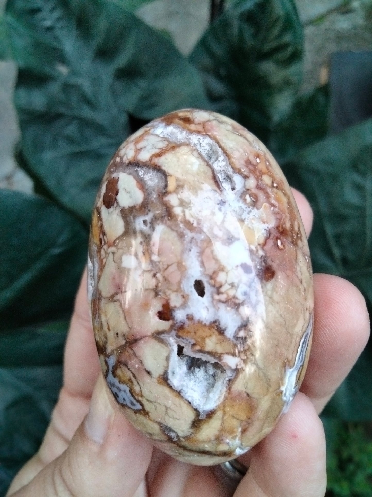 Ibis Jasper PalmStone with cave Druzy