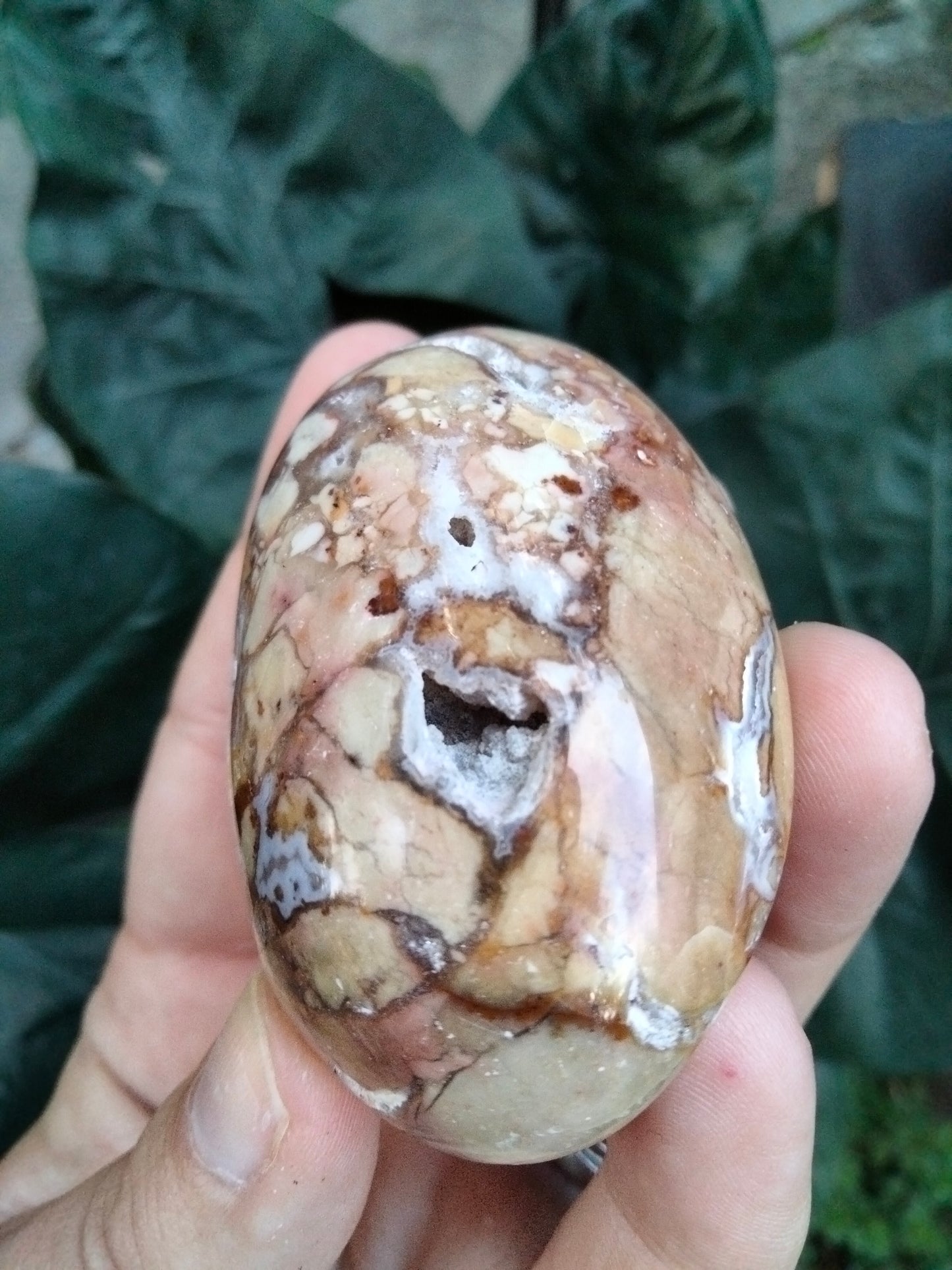 Ibis Jasper PalmStone with cave Druzy