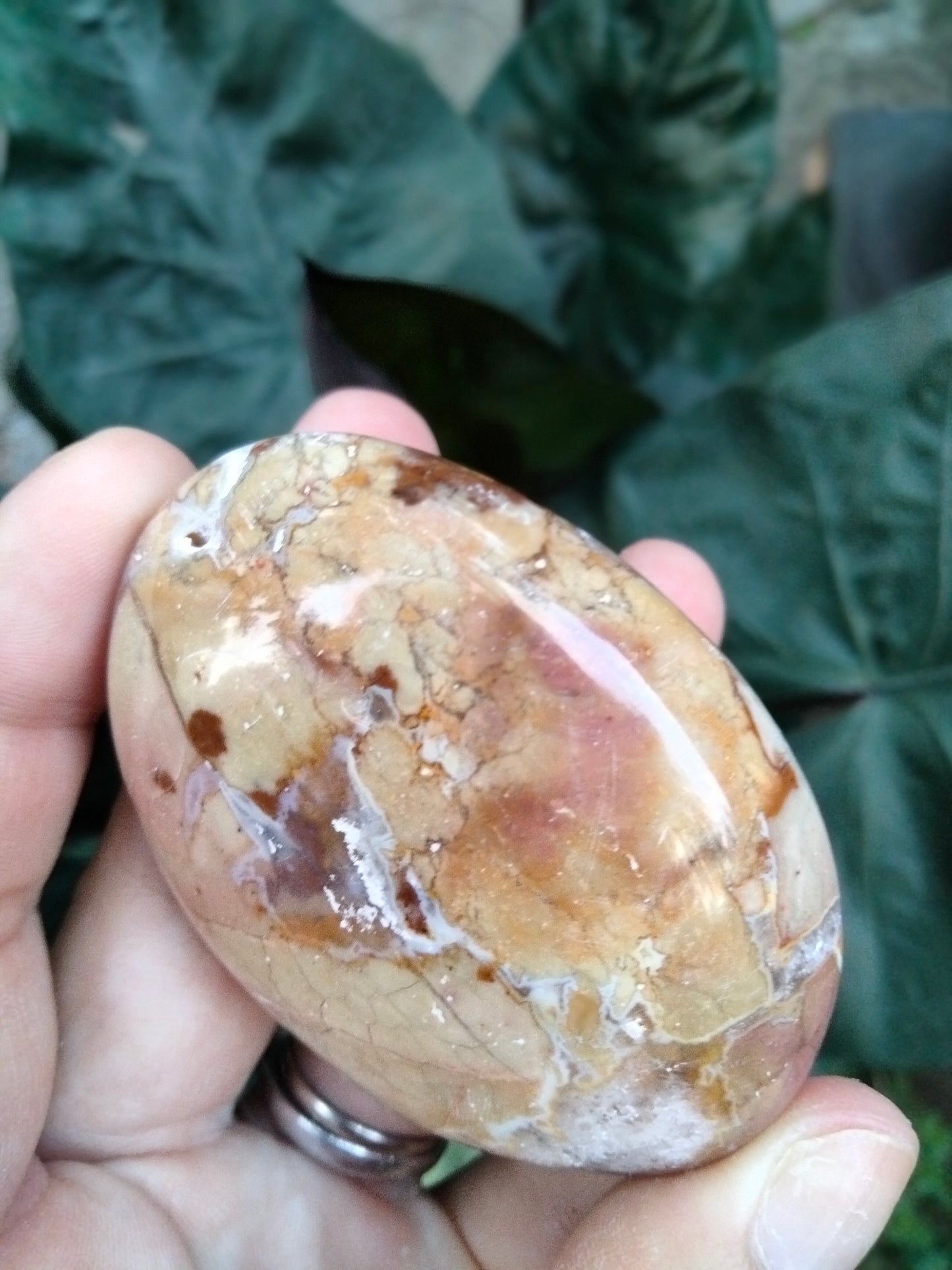 Ibis Jasper PalmStone with cave Druzy