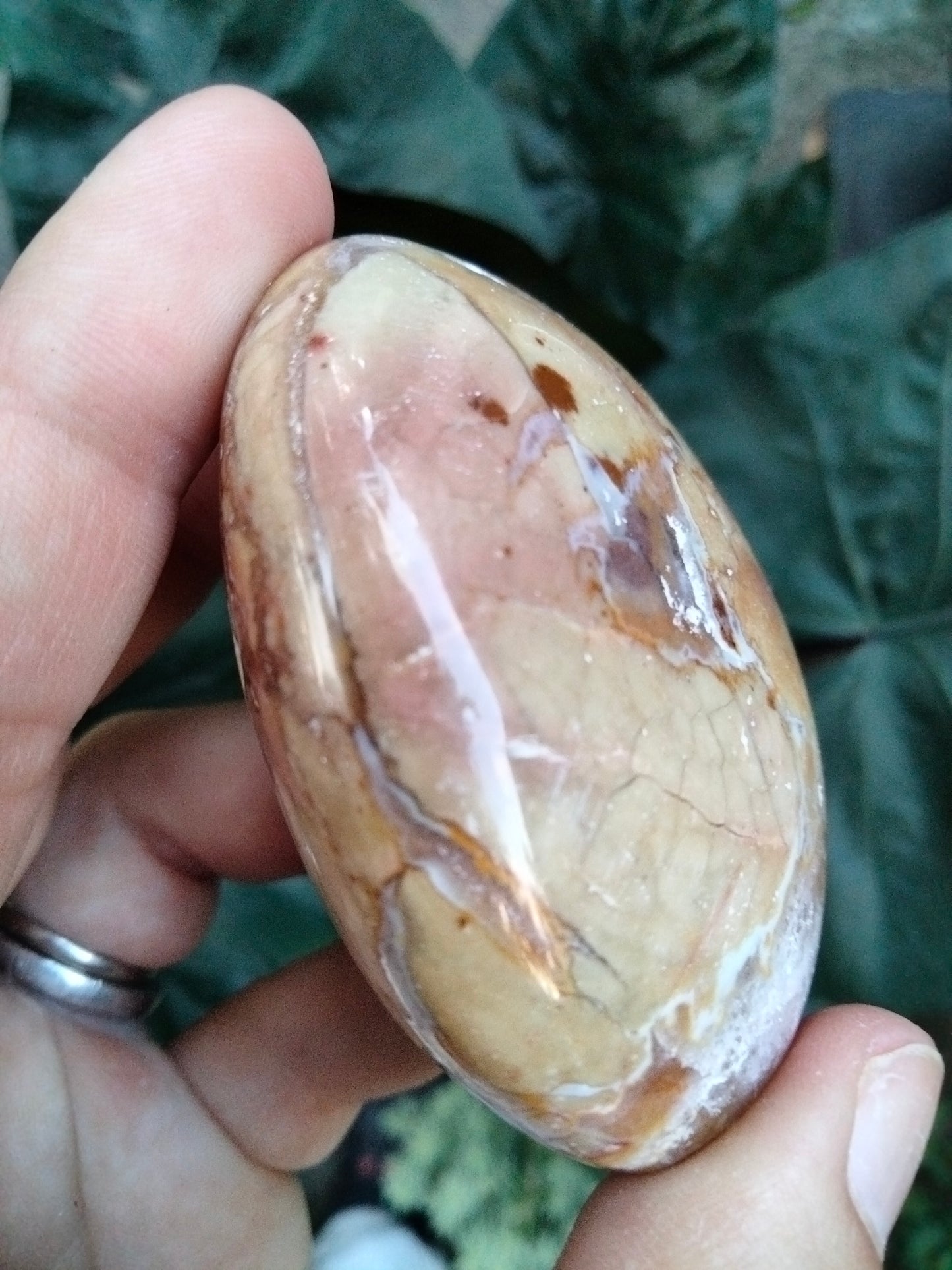 Ibis Jasper PalmStone with cave Druzy