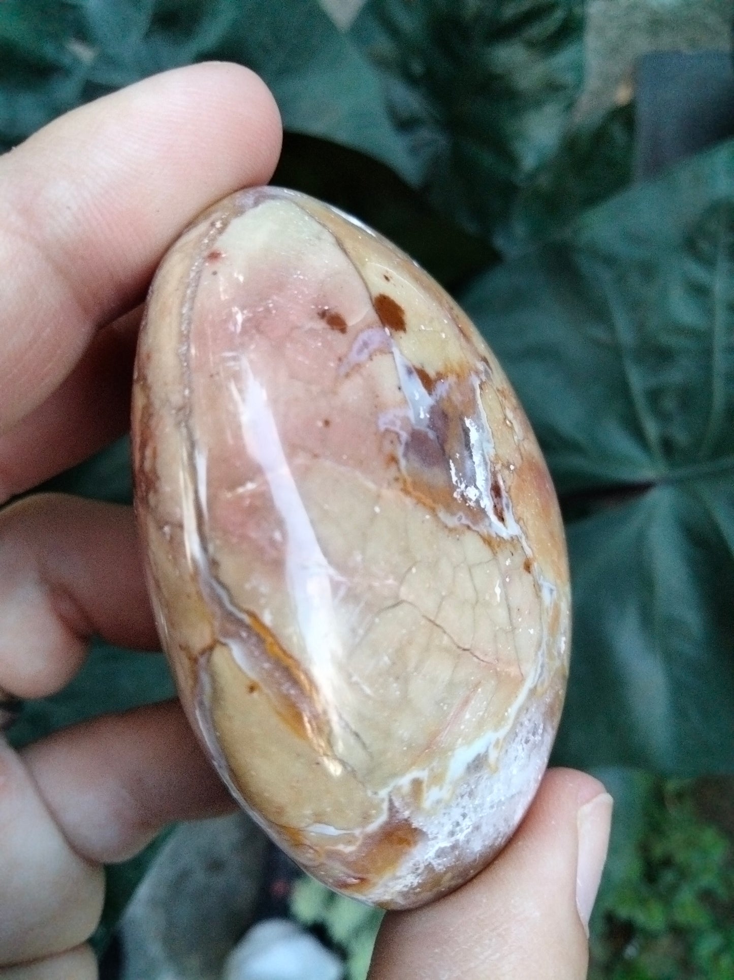 Ibis Jasper PalmStone with cave Druzy