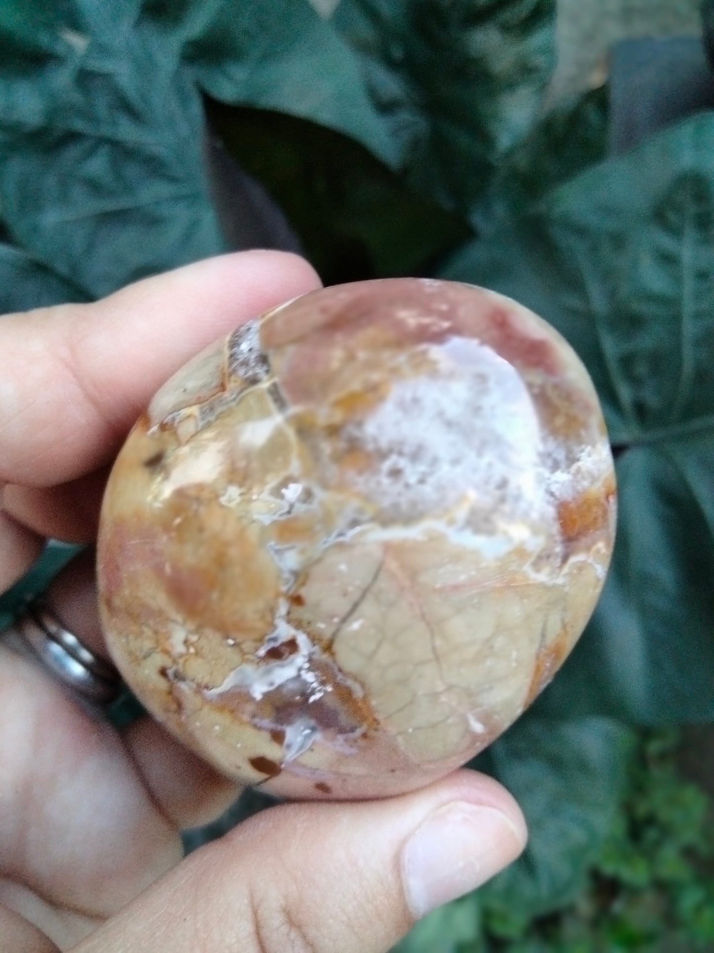 Ibis Jasper PalmStone with cave Druzy