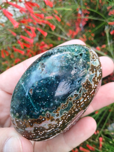 Ocean Jasper Crystal Palmstone blue brown with pools and a Ripple