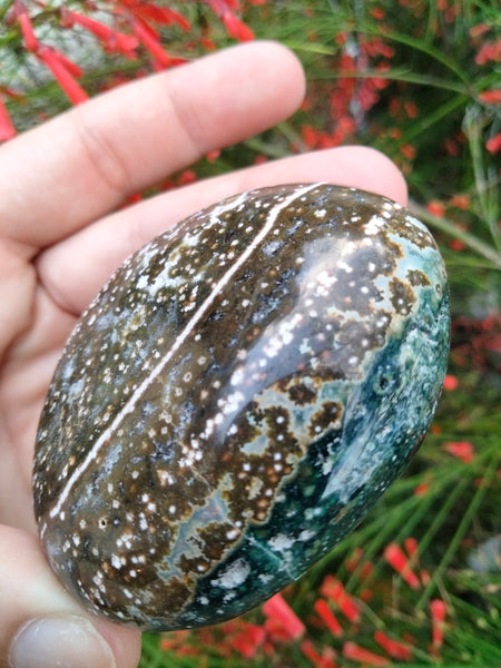 Ocean Jasper Crystal Palmstone blue brown with pools and a Ripple