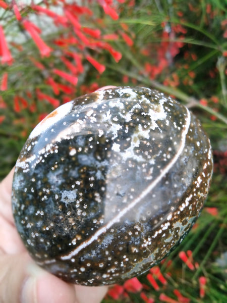 Ocean Jasper Crystal Palmstone blue brown with pools and a Ripple