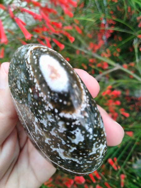 Ocean Jasper Crystal Palmstone blue brown with pools and a Ripple