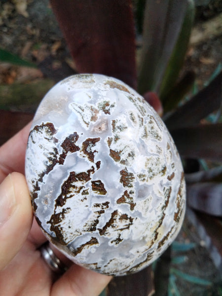 Ocean Jasper Crystal Palmstone white Caps with Druzy