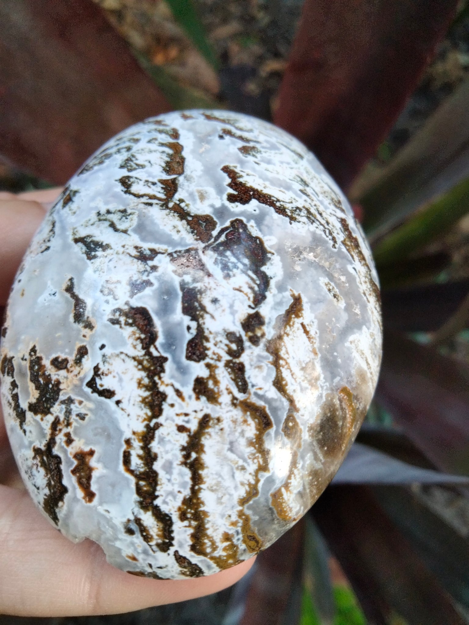 Ocean Jasper Crystal Palmstone white Caps with Druzy