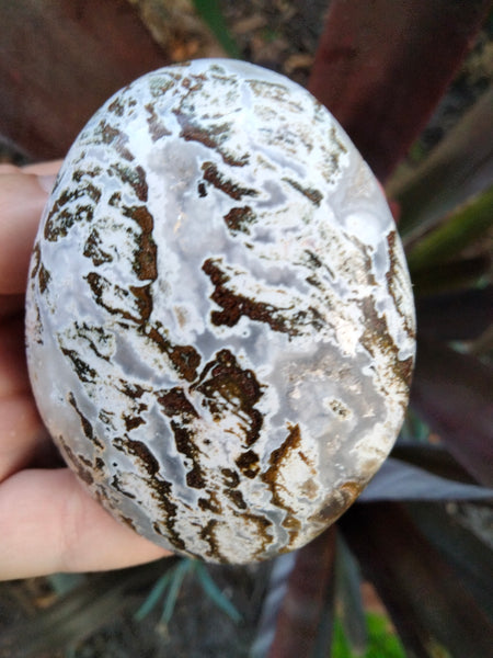 Ocean Jasper Crystal Palmstone white Caps with Druzy