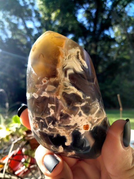 Orca Agate Flame 6