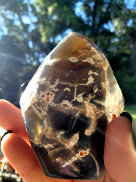 Orca Agate Flame 6