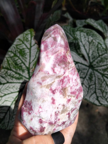 Pink Tourmaline Flame Rubalite