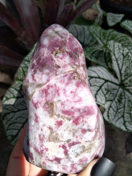 Pink Tourmaline Flame Rubalite