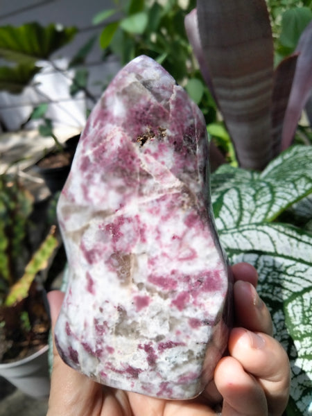 Pink Tourmaline Flame Rubalite