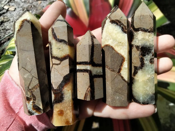 Septarian Point