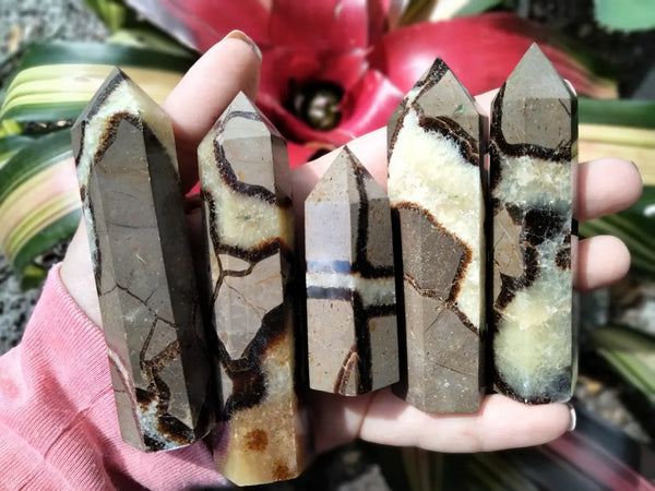 Septarian Point