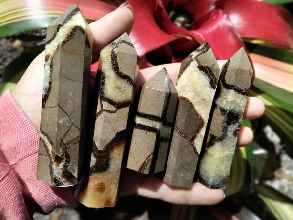 Septarian Point