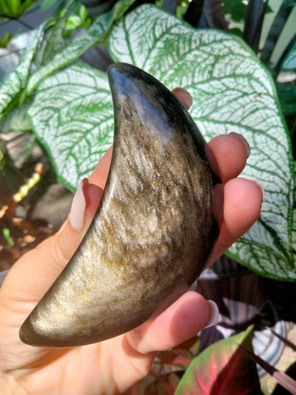 Golden Sheen Obsidian Moon