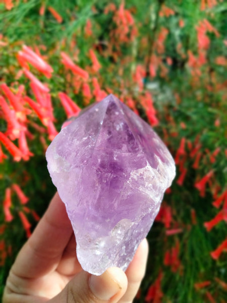 Amethyst Piller