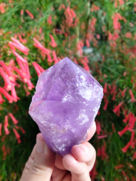 Amethyst Piller