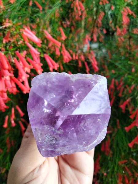 Amethyst Piller