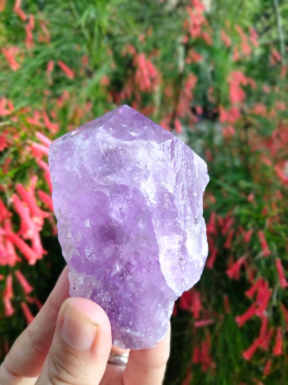 Amethyst Piller