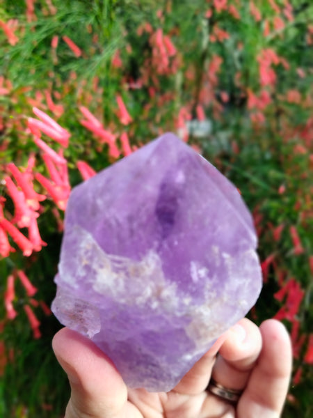 Amethyst Piller