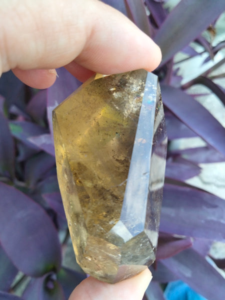 Citrine quartz with dendrite branch Freeform