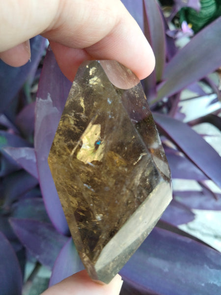 Citrine quartz with dendrite branch Freeform