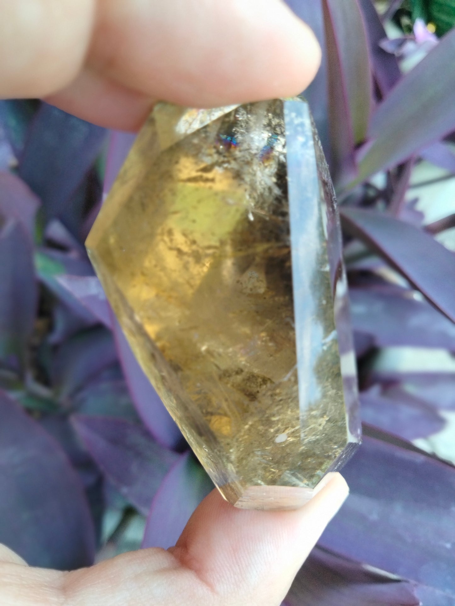 Citrine quartz with dendrite branch Freeform