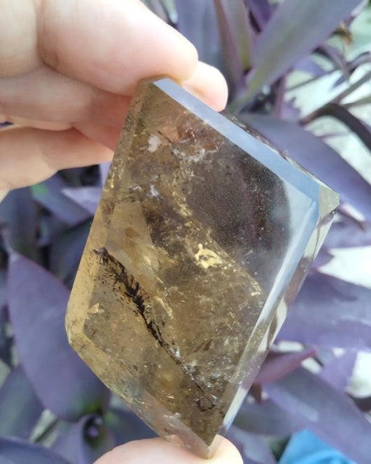 Citrine quartz with dendrite branch Freeform