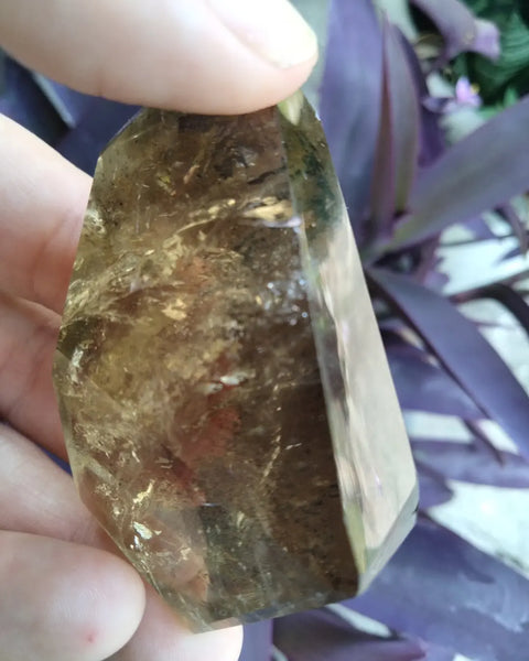 Citrine quartz with dendrite branch Freeform